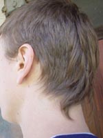 mohawk, rear