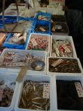 Picture from Tokyo's Tsukiji Wholesale (Fish) Market - click for a blowup and maybe some useful information.
