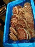 Picture from Tokyo's Tsukiji Wholesale (Fish) Market - click for a blowup and maybe some useful information.